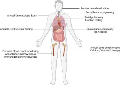 Clinical considerations at the intersection of hematopoietic cell transplantation and hereditary hematopoietic malignancy
